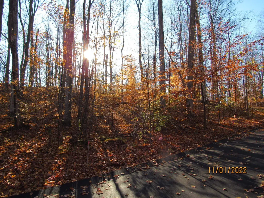 ***** Buckaroo Trail Bay Township MI 49770