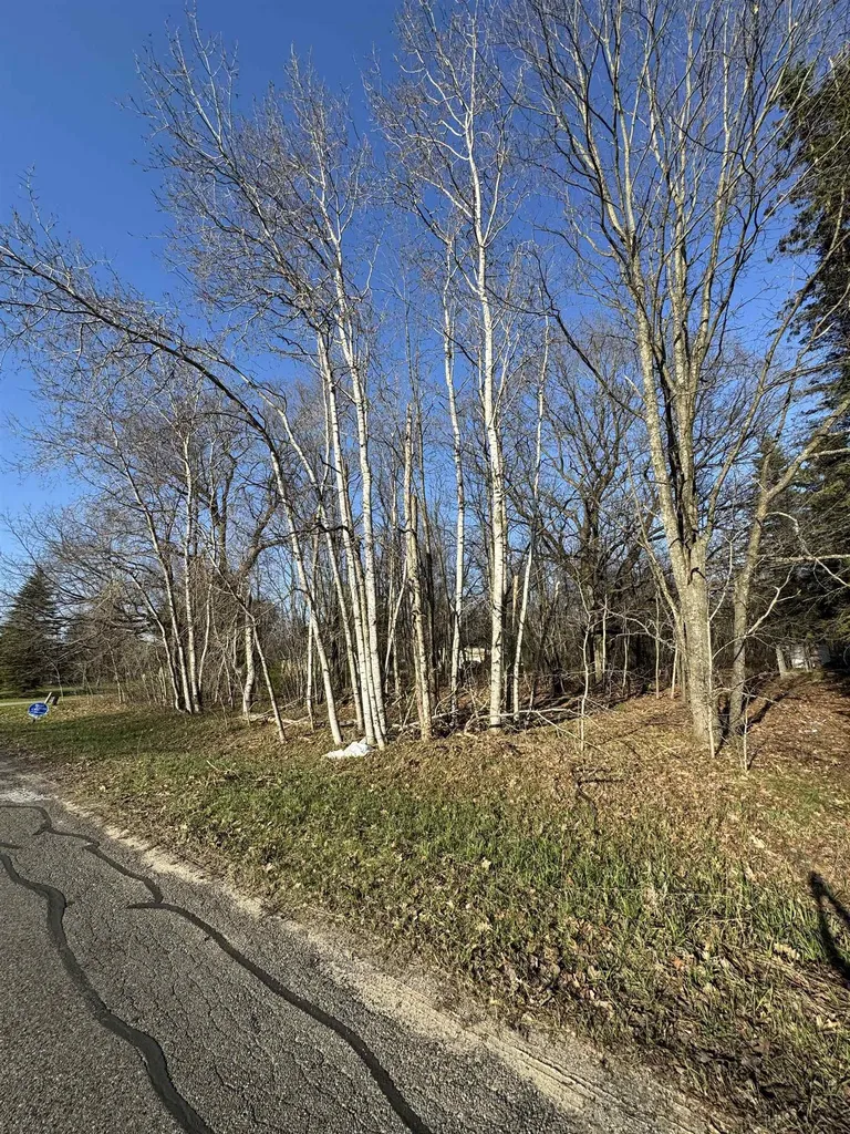 3603 Cecil Road Haring Charter Township MI 49601