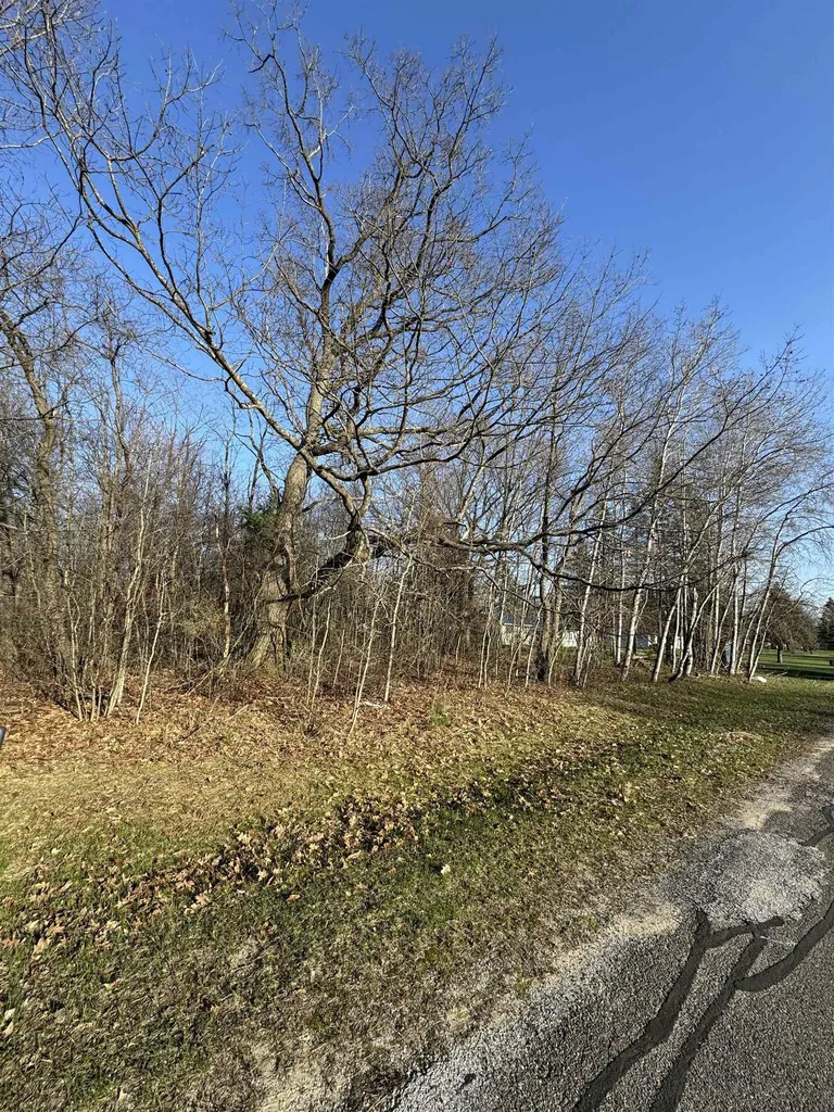 3603 Cecil Road Haring Charter Township MI 49601