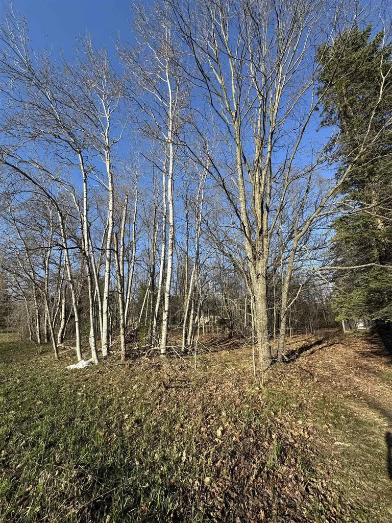 3603 Cecil Road Haring Charter Township MI 49601