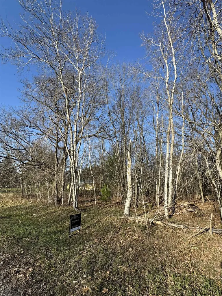 3603 Cecil Road Haring Charter Township MI 49601