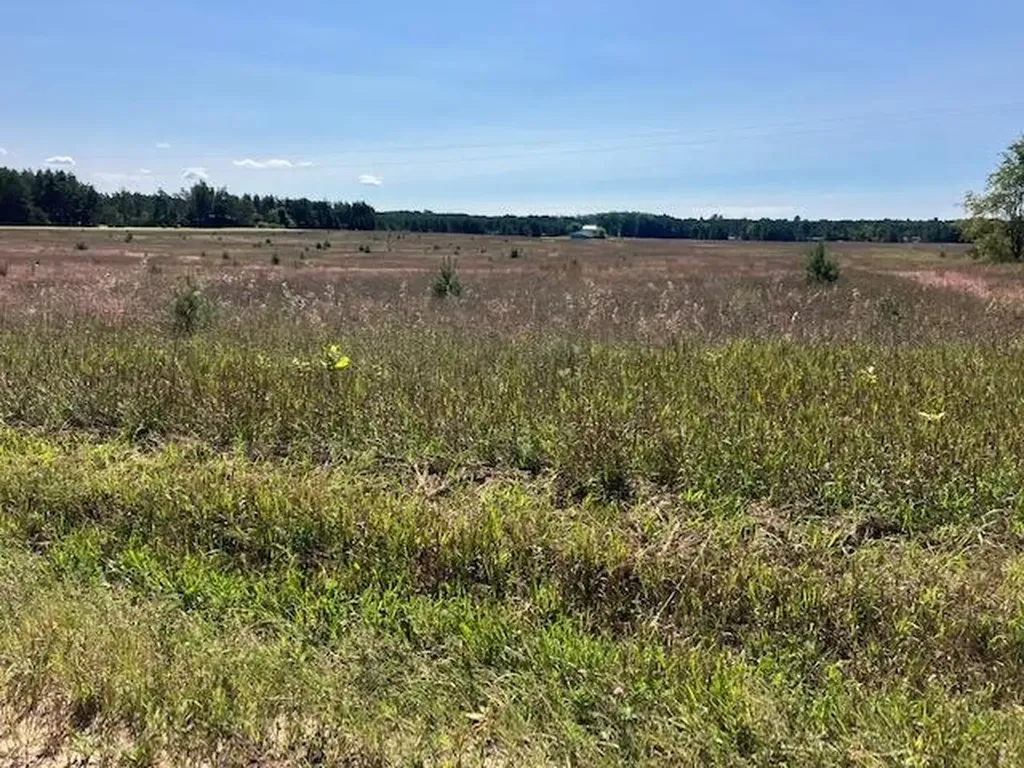 6 Horseshoe Trail Bay Township MI 49770