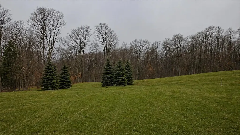 6 Horseshoe Trail Bay Township MI 49770
