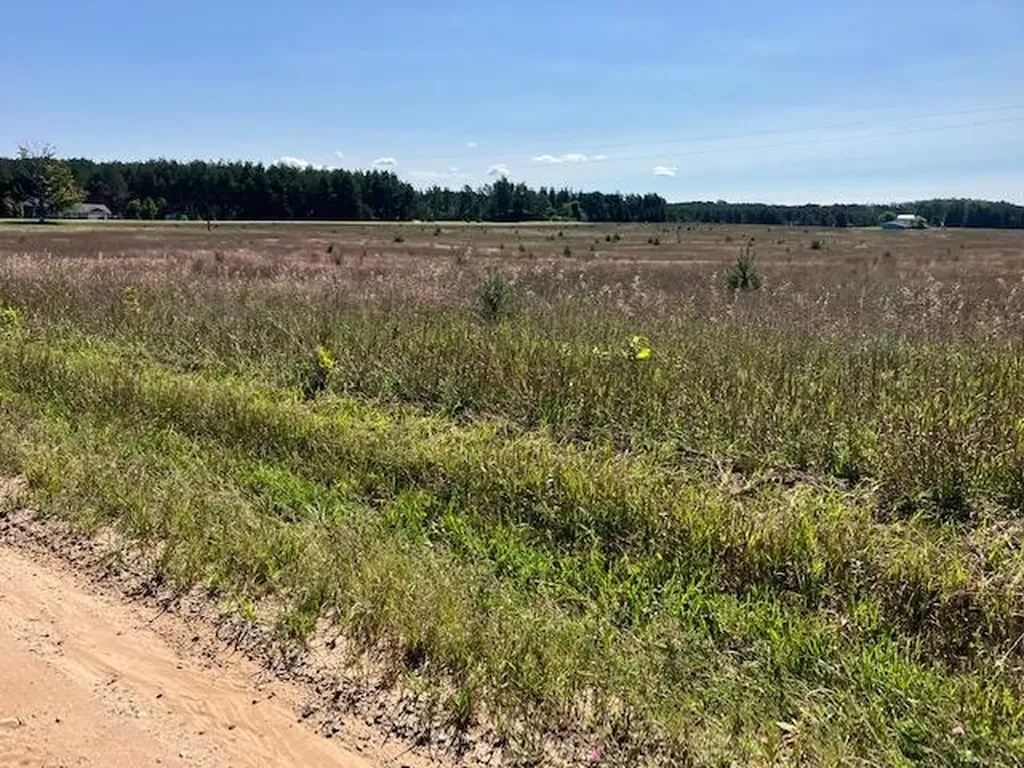 5 Horseshoe Trail Bay Township MI 49770