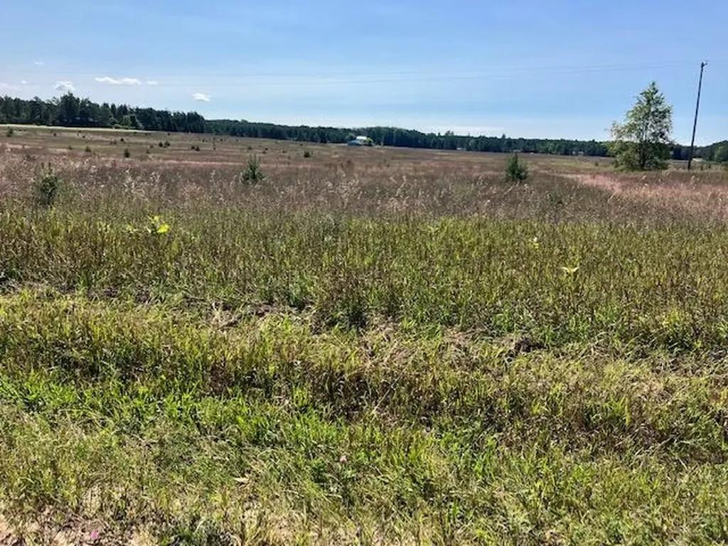 4 Horseshoe Trail Bay Township MI 49770