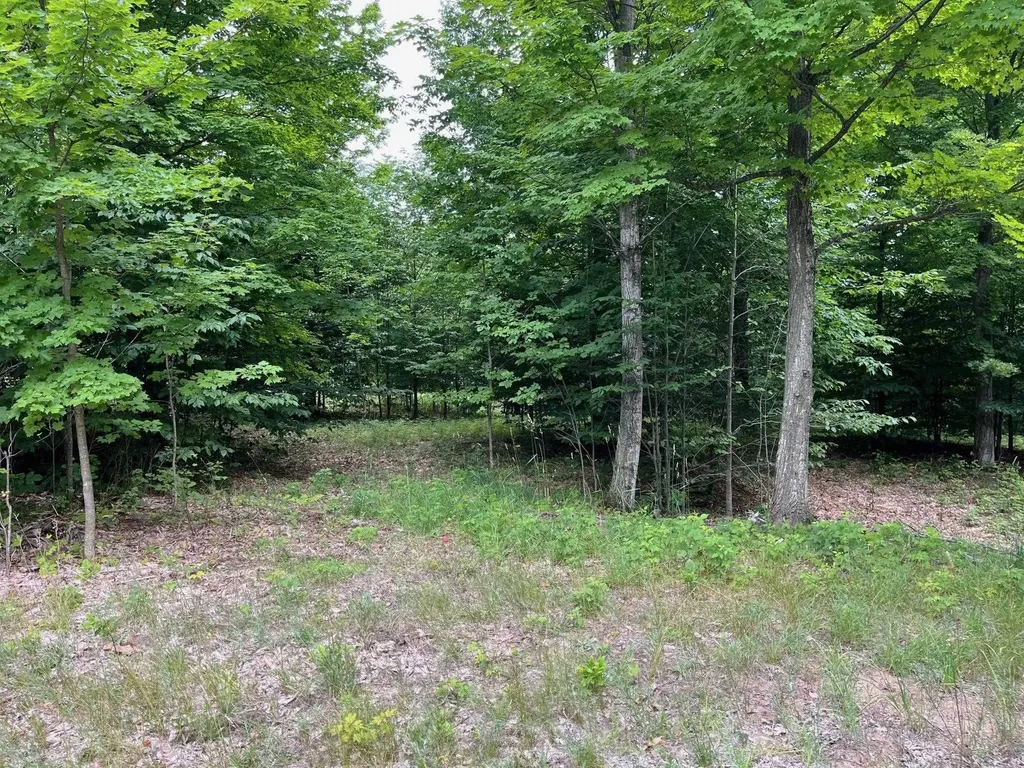 11 W Timber View Trail Empire Township MI 49630