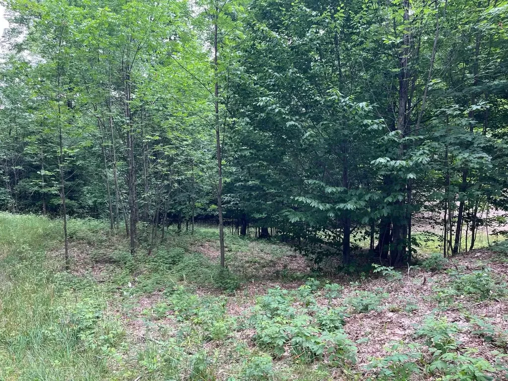 11 W Timber View Trail Empire Township MI 49630