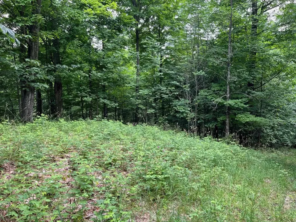 11 W Timber View Trail Empire Township MI 49630