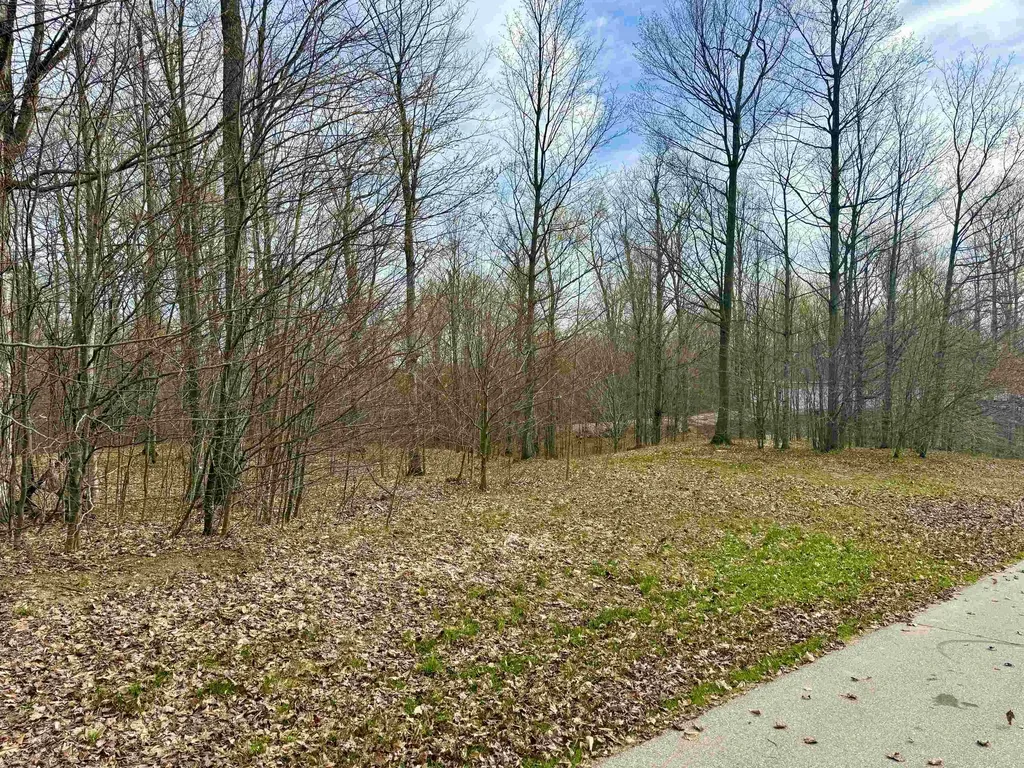 11 W Timber View Trail Empire Township MI 49630
