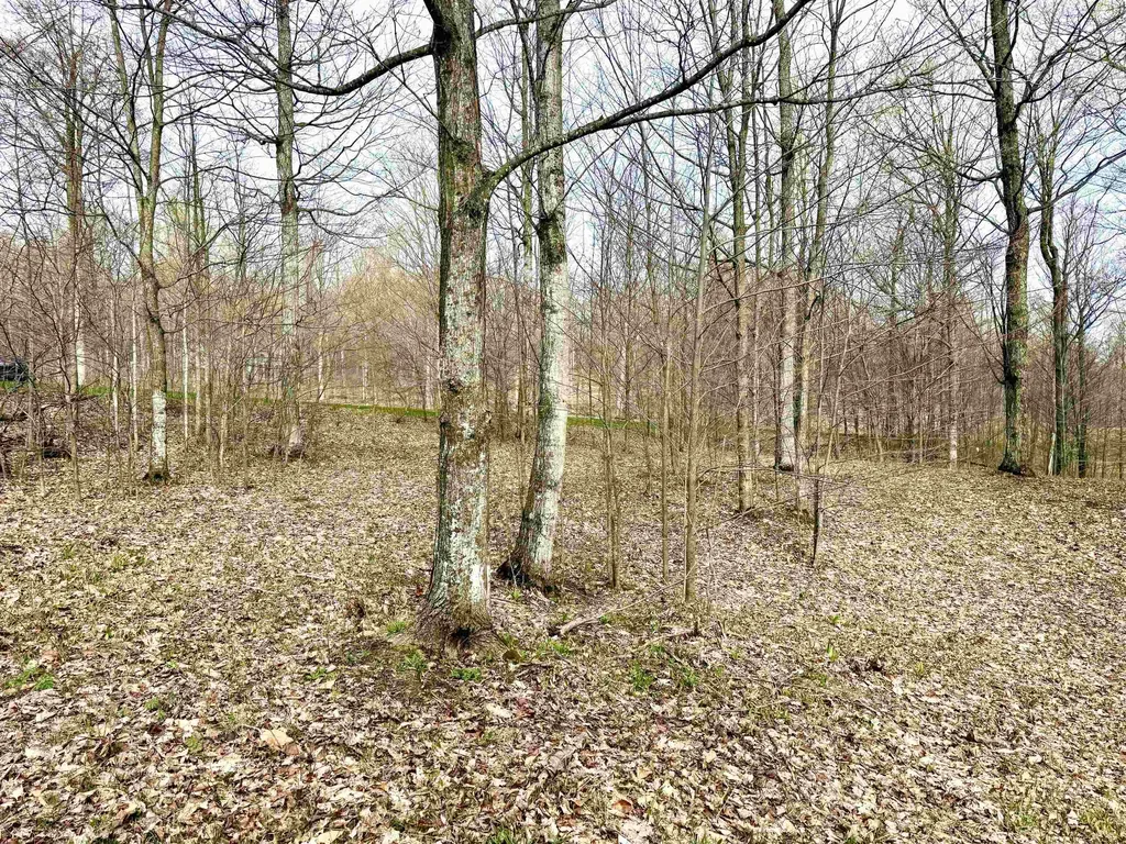 11 W Timber View Trail Empire Township MI 49630