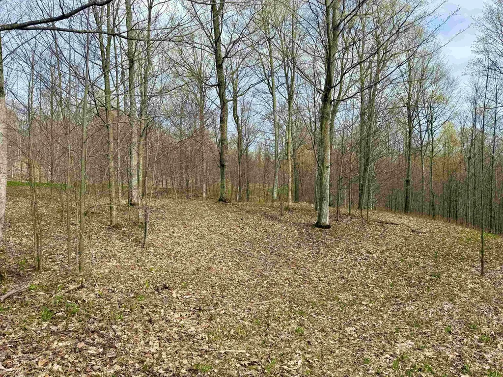 11 W Timber View Trail Empire Township MI 49630