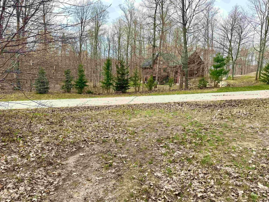 11 W Timber View Trail Empire Township MI 49630