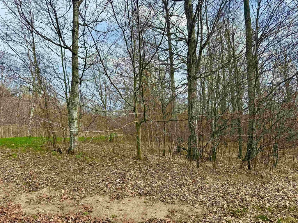 11 W Timber View Trail Empire Township MI 49630