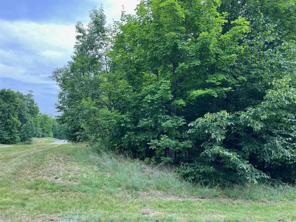 11 W Timber View Trail Empire Township MI 49630