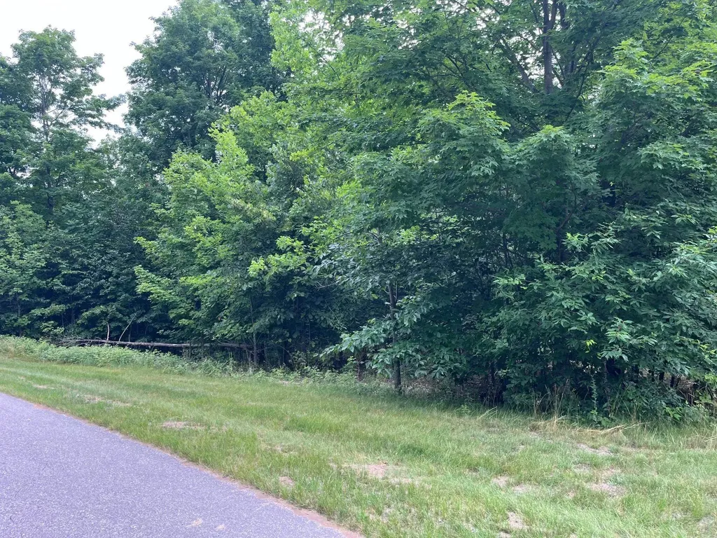 11 W Timber View Trail Empire Township MI 49630