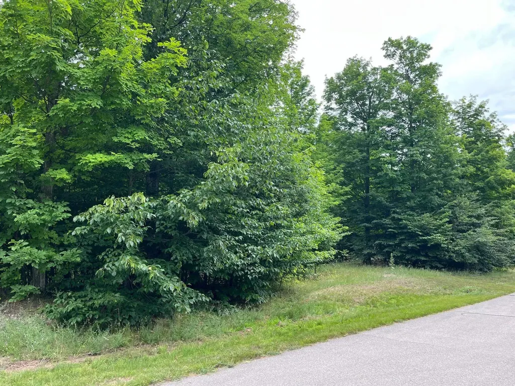 11 W Timber View Trail Empire Township MI 49630