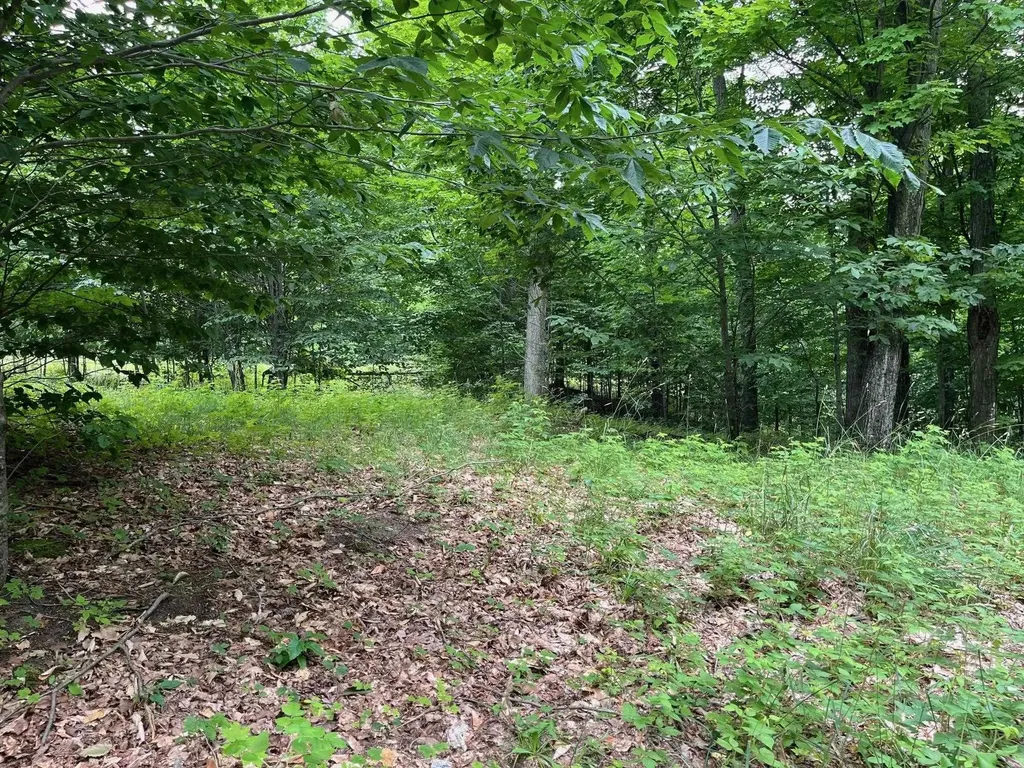 11 W Timber View Trail Empire Township MI 49630