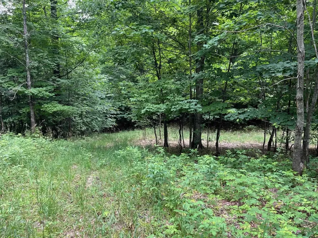 11 W Timber View Trail Empire Township MI 49630