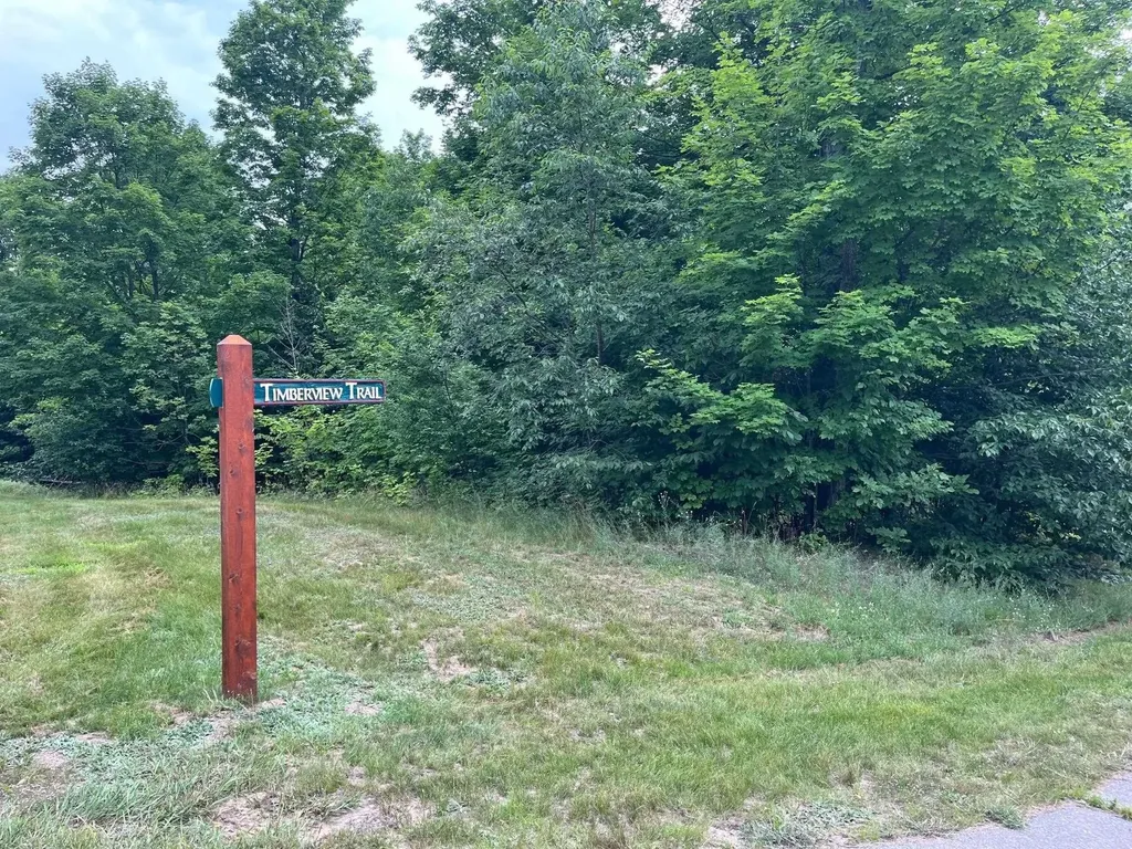 11 W Timber View Trail Empire Township MI 49630