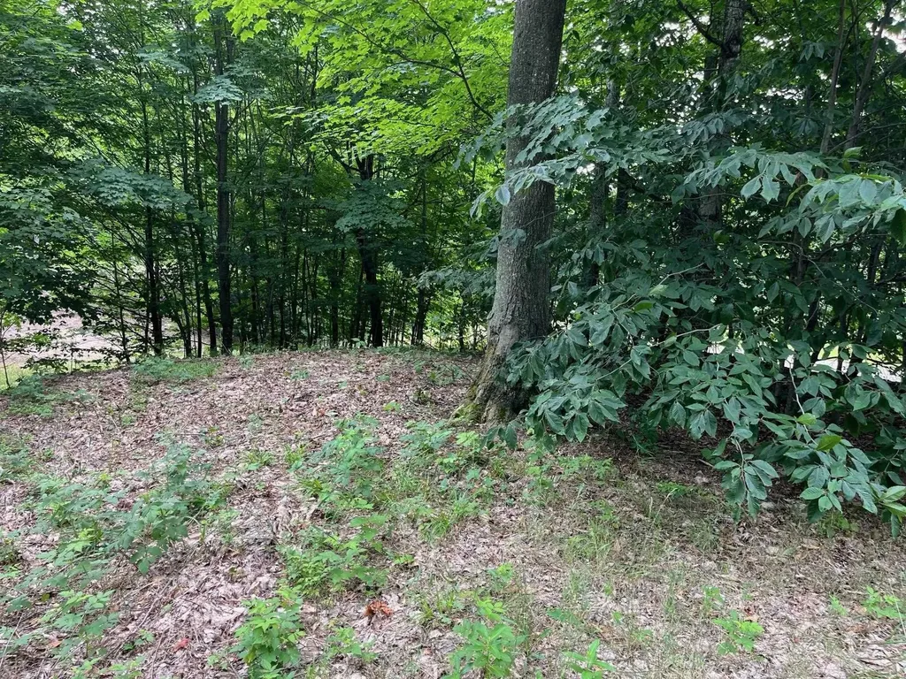 11 W Timber View Trail Empire Township MI 49630