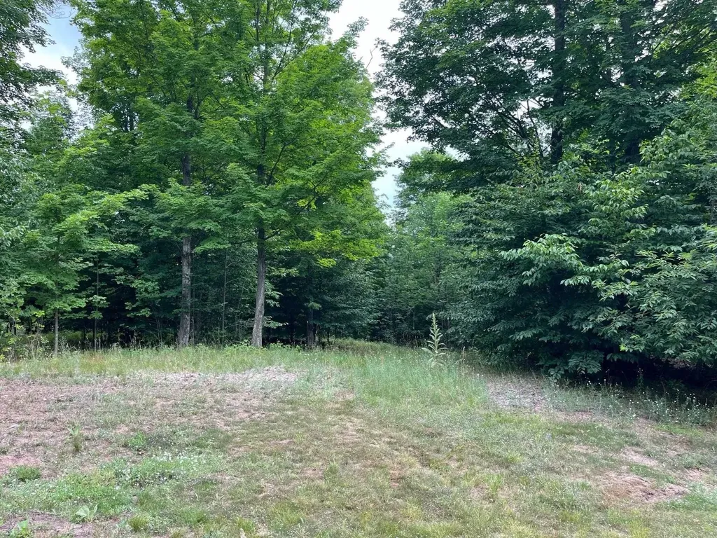 11 W Timber View Trail Empire Township MI 49630