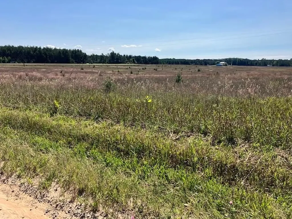 ***** Buckaroo Trail Bay Township MI 49770