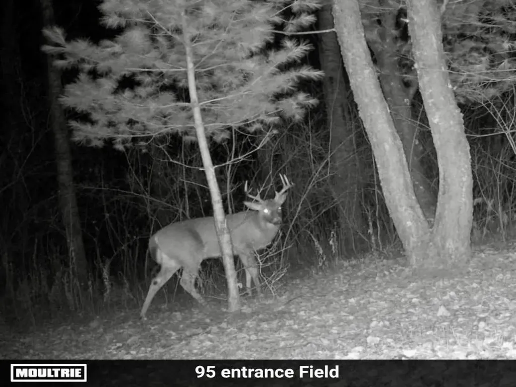 0 Dzuibanek Road Springdale Township MI 49683