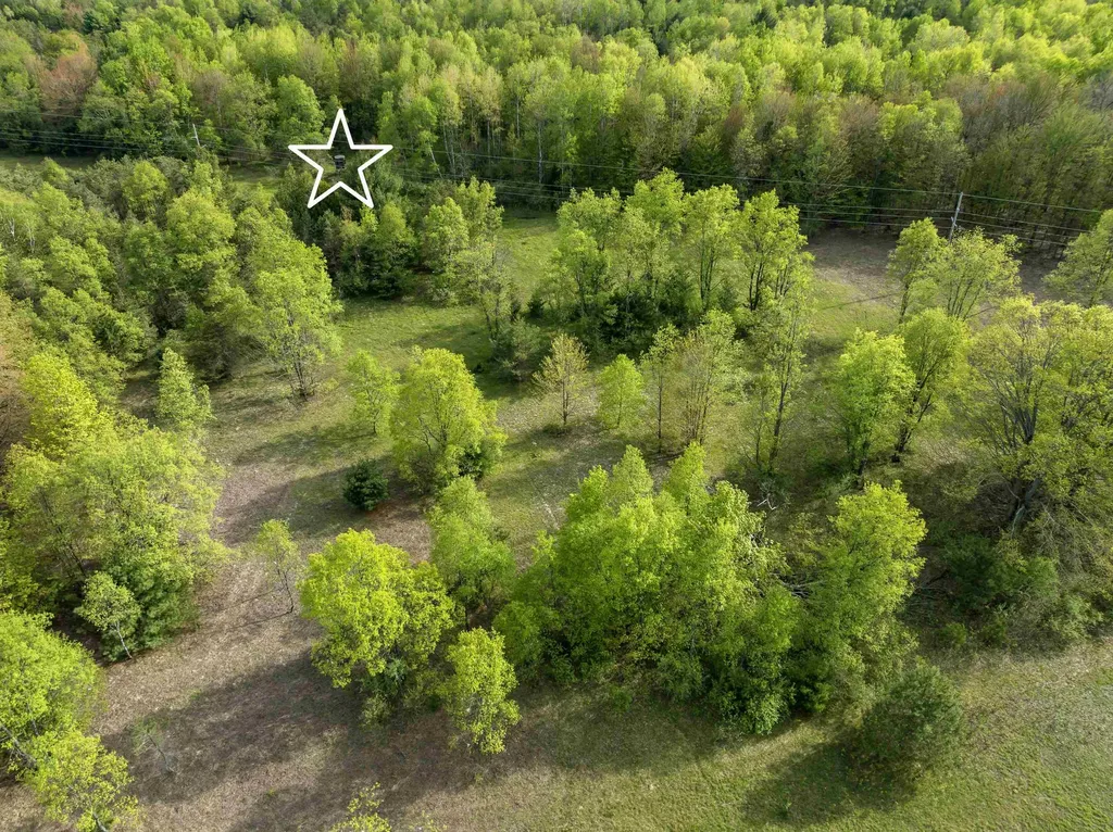 0 Dzuibanek Road Springdale Township MI 49683