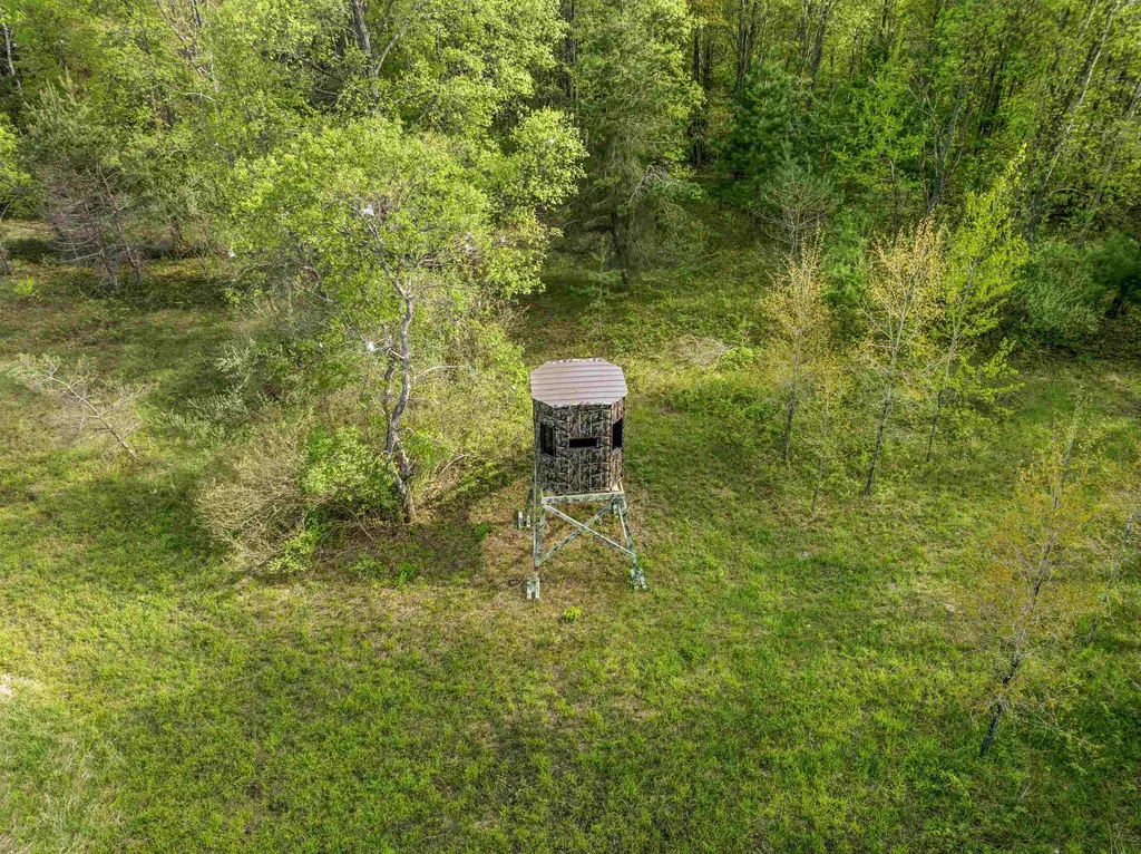 0 Dzuibanek Road Springdale Township MI 49683
