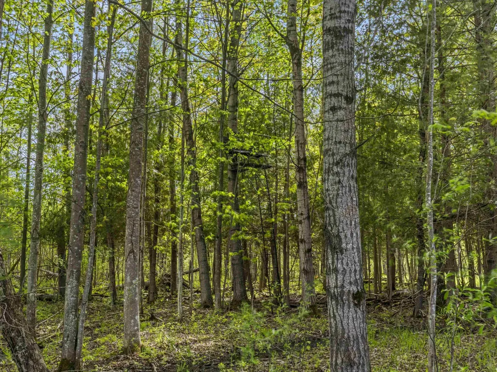 0 Dzuibanek Road Springdale Township MI 49683