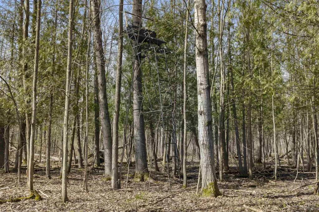 0 Dzuibanek Road Springdale Township MI 49683