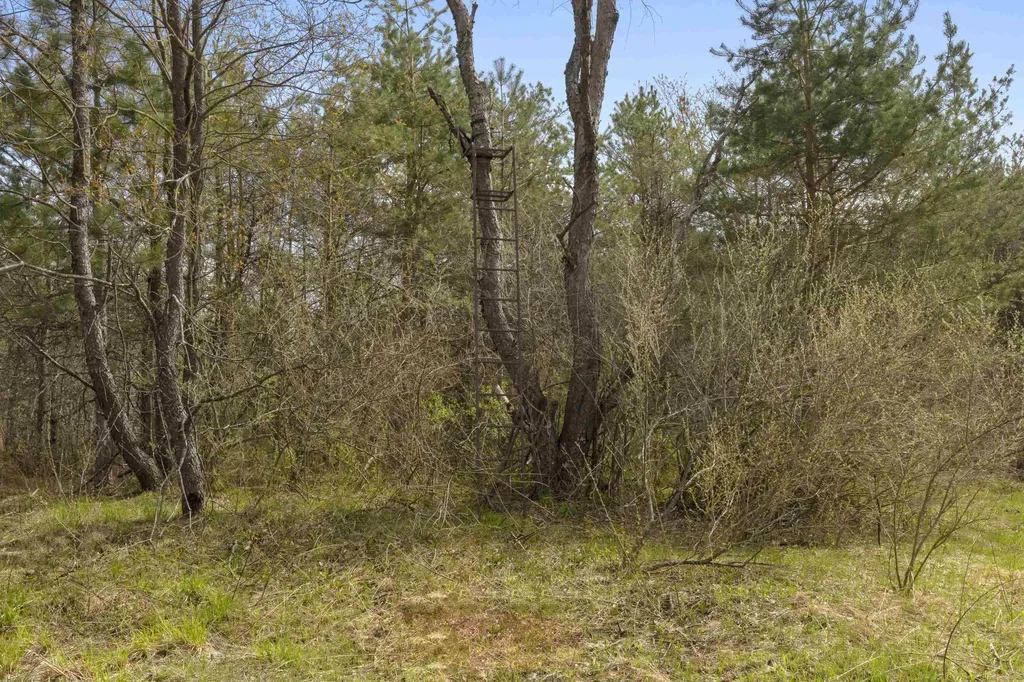 0 Dzuibanek Road Springdale Township MI 49683