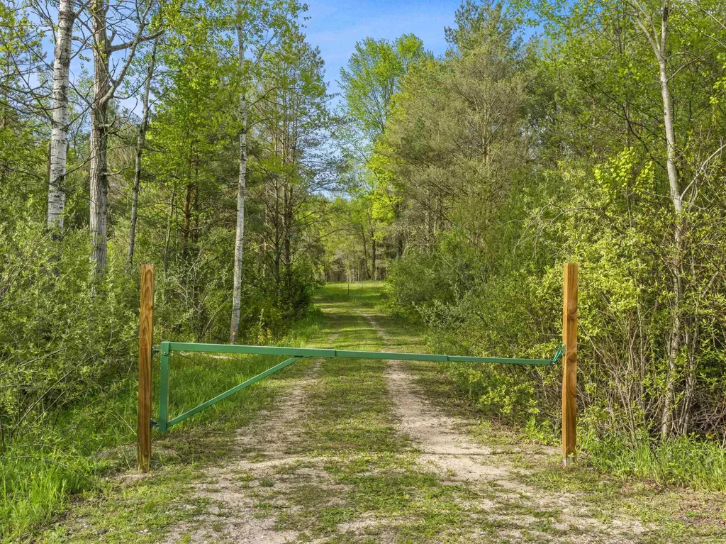 0 Dzuibanek Road Springdale Township MI 49683