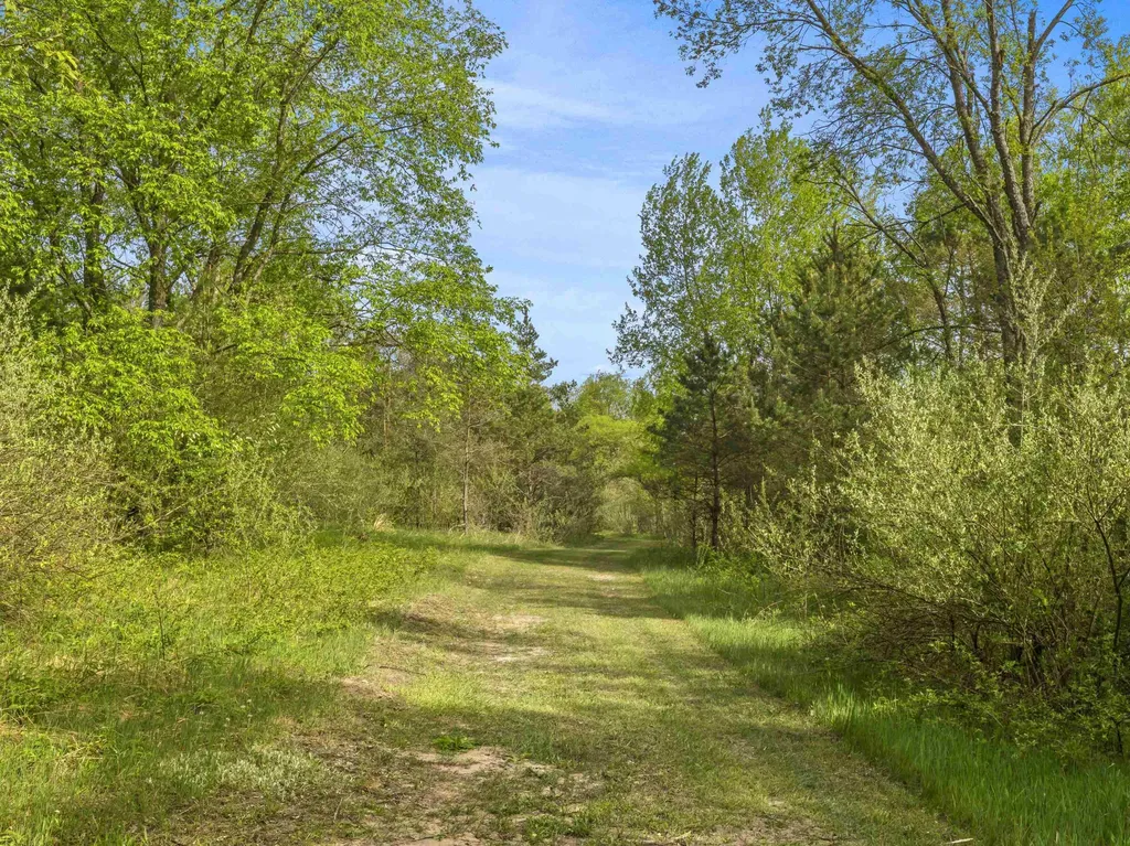 0 Dzuibanek Road Springdale Township MI 49683
