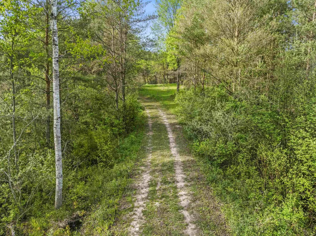 0 Dzuibanek Road Springdale Township MI 49683