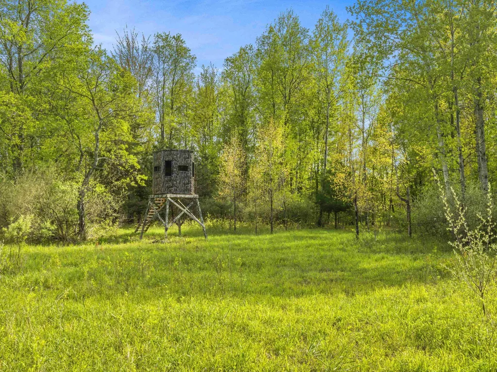 0 Dzuibanek Road Springdale Township MI 49683