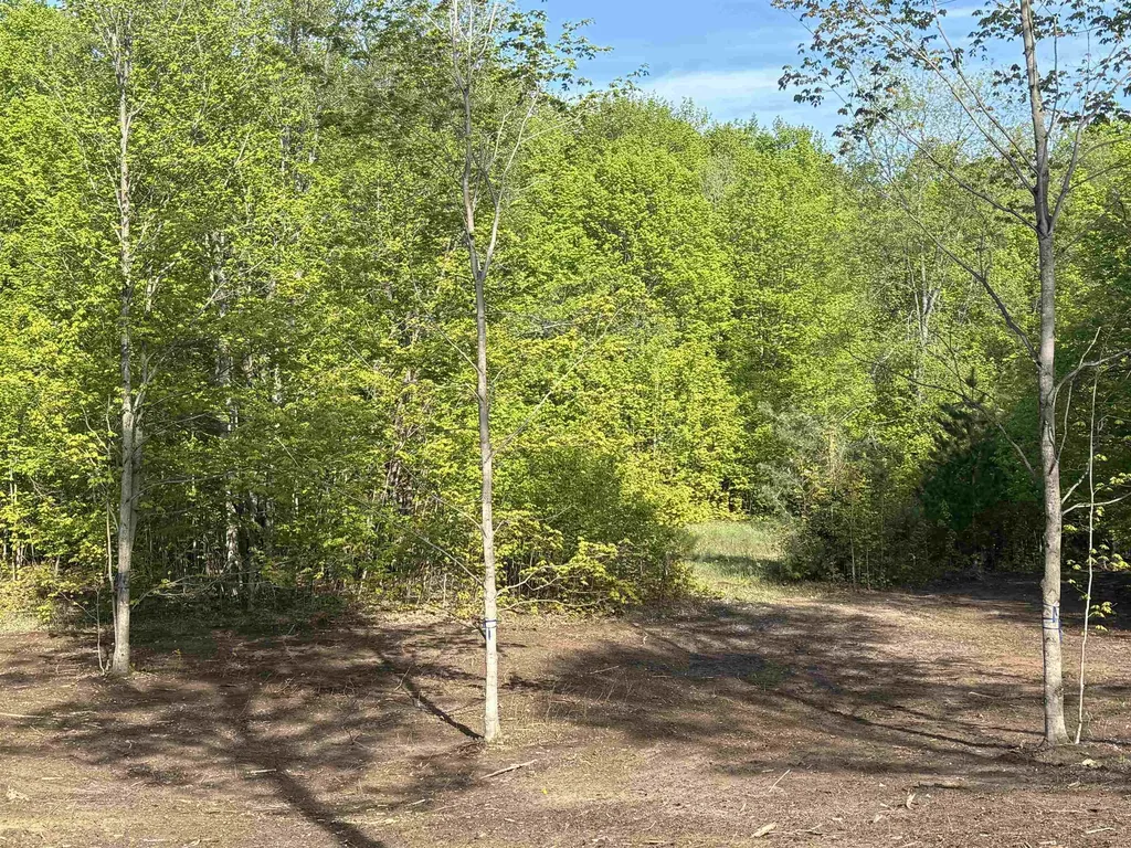 1453 E Solaris Way Kasson Township MI 49664