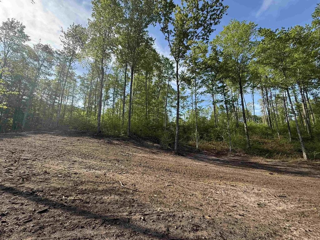 1453 E Solaris Way Kasson Township MI 49664