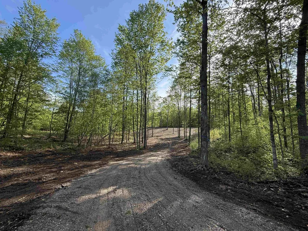 1453 E Solaris Way Kasson Township MI 49664