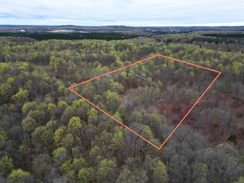 1453 E Solaris Way Kasson Township MI 49664