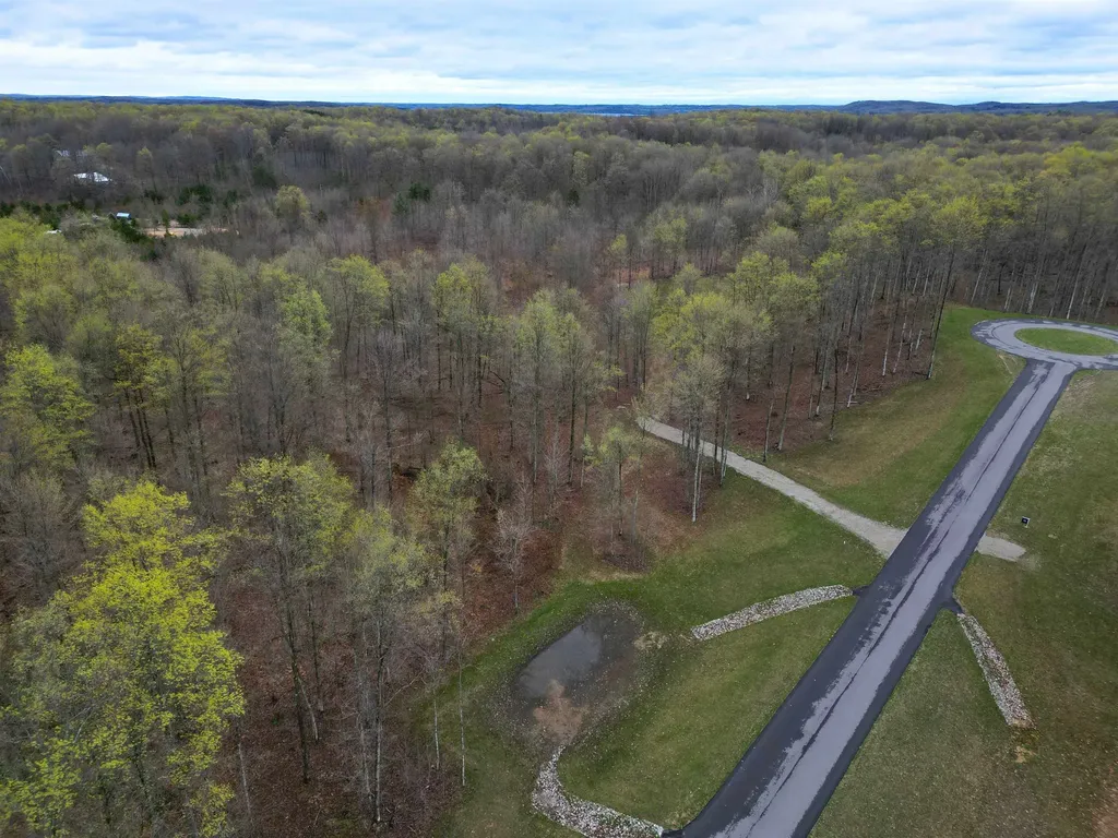 1453 E Solaris Way Kasson Township MI 49664