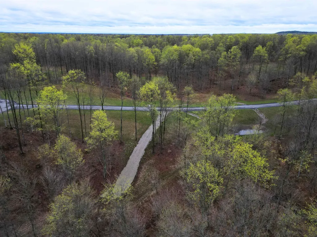 1453 E Solaris Way Kasson Township MI 49664