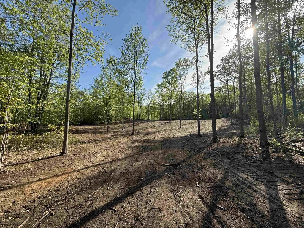 1453 E Solaris Way Kasson Township MI 49664
