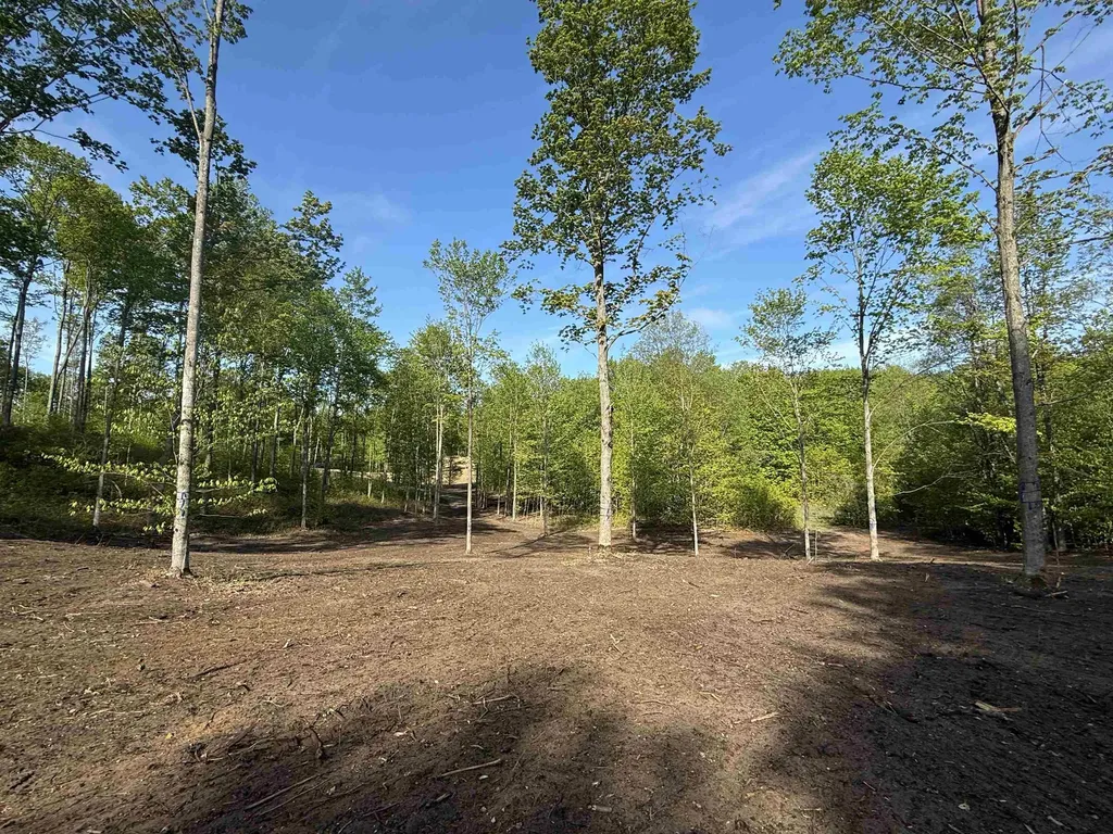 1453 E Solaris Way Kasson Township MI 49664