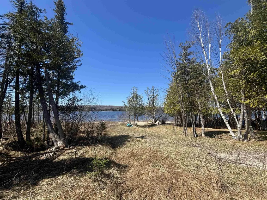 00 Ridge Road Eveline Township MI 49727