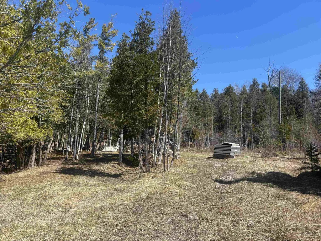 00 Ridge Road Eveline Township MI 49727