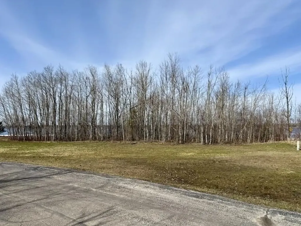 V/l Paradise Lane Carp Lake Township MI 49755