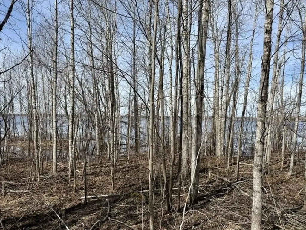 V/l Paradise Lane Carp Lake Township MI 49755