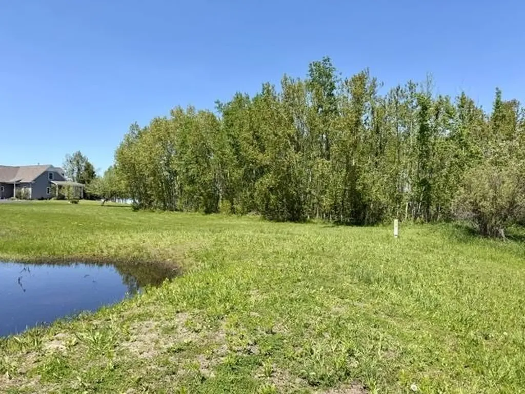 V/l Paradise Lane Carp Lake Township MI 49755