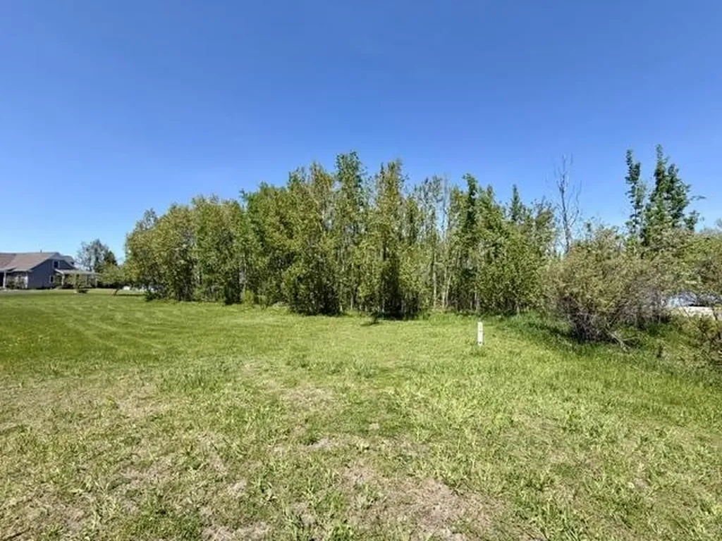V/l Paradise Lane Carp Lake Township MI 49755